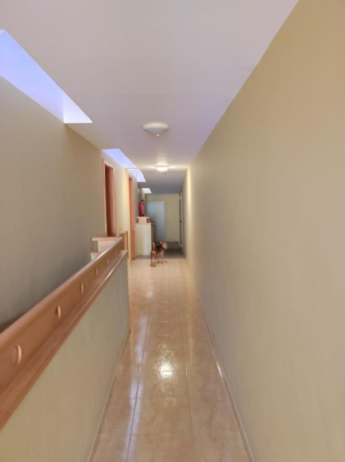 דירות San Sebastián de la Gomera Apartamento 35 La Ladera מראה חיצוני תמונה
